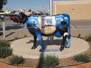 Centennial Cow